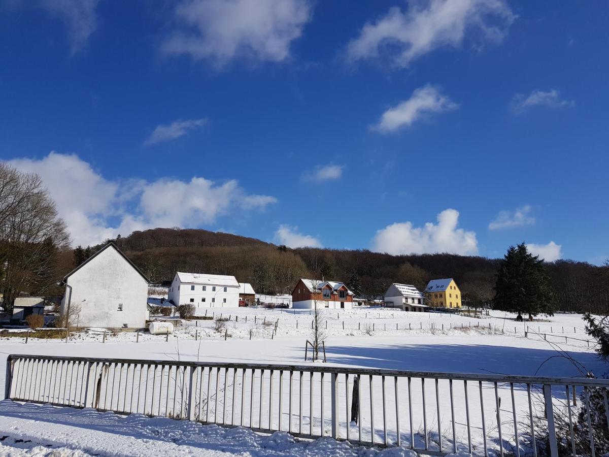 Waldhaus Nearby Nuerburgring Βίλα Bongard Εξωτερικό φωτογραφία